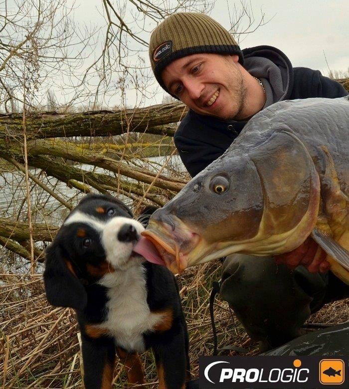 PROLOGIC - 94213151042262235064255438725n.jpg